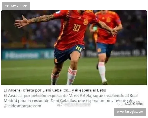 足球转会合同中的关键条款解析与背后影响因素探讨